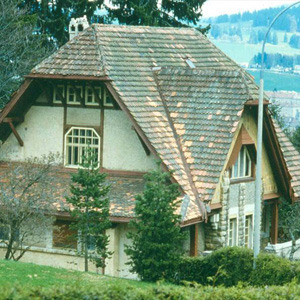 Вилла Фалле (Villa Fallet), Ла Шо-де-Фон (La Chaux-de-Fonds), Швейцария. 1905
